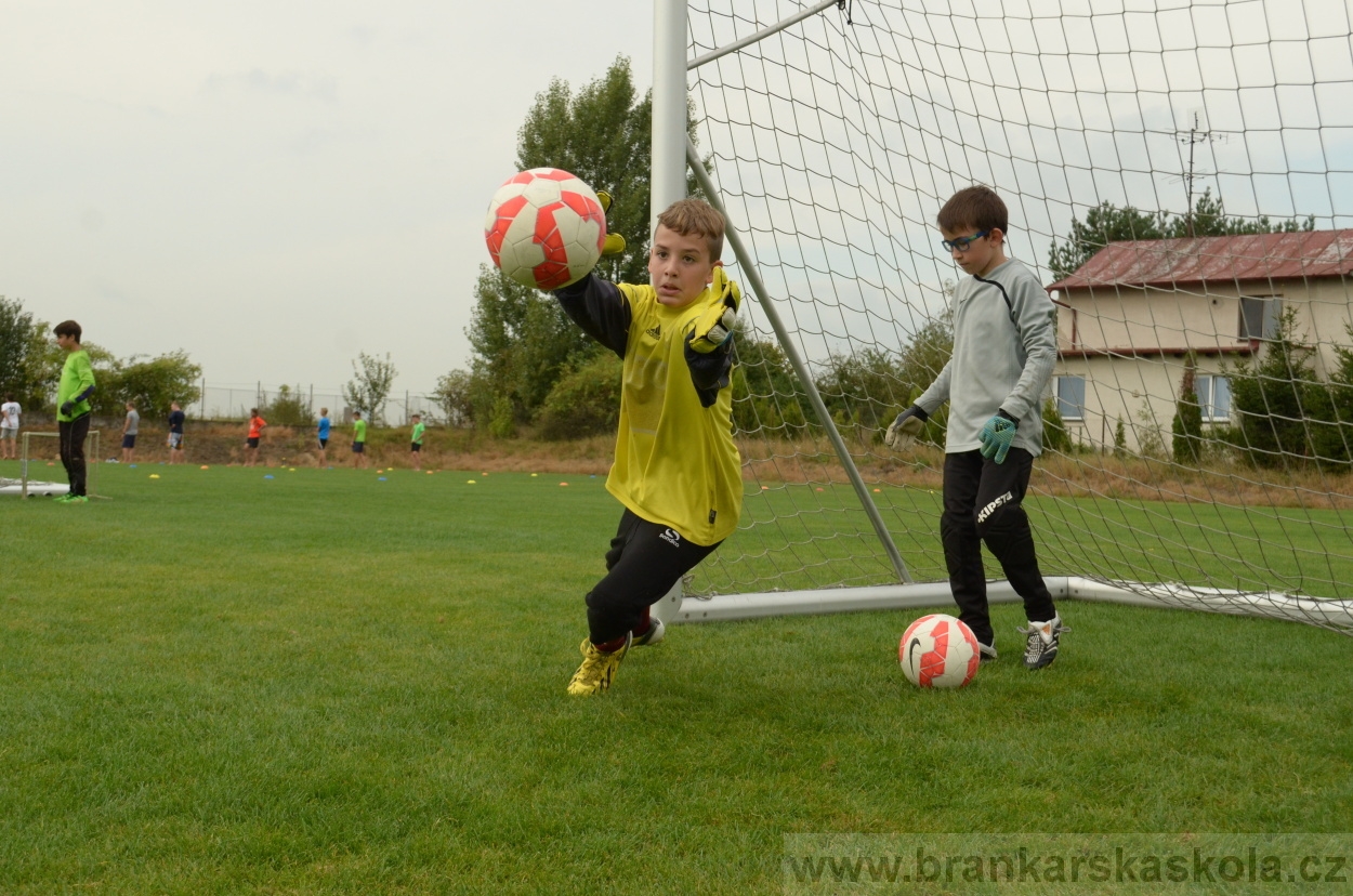 BFŠJCH - Léto 2016 - 29.8.2016