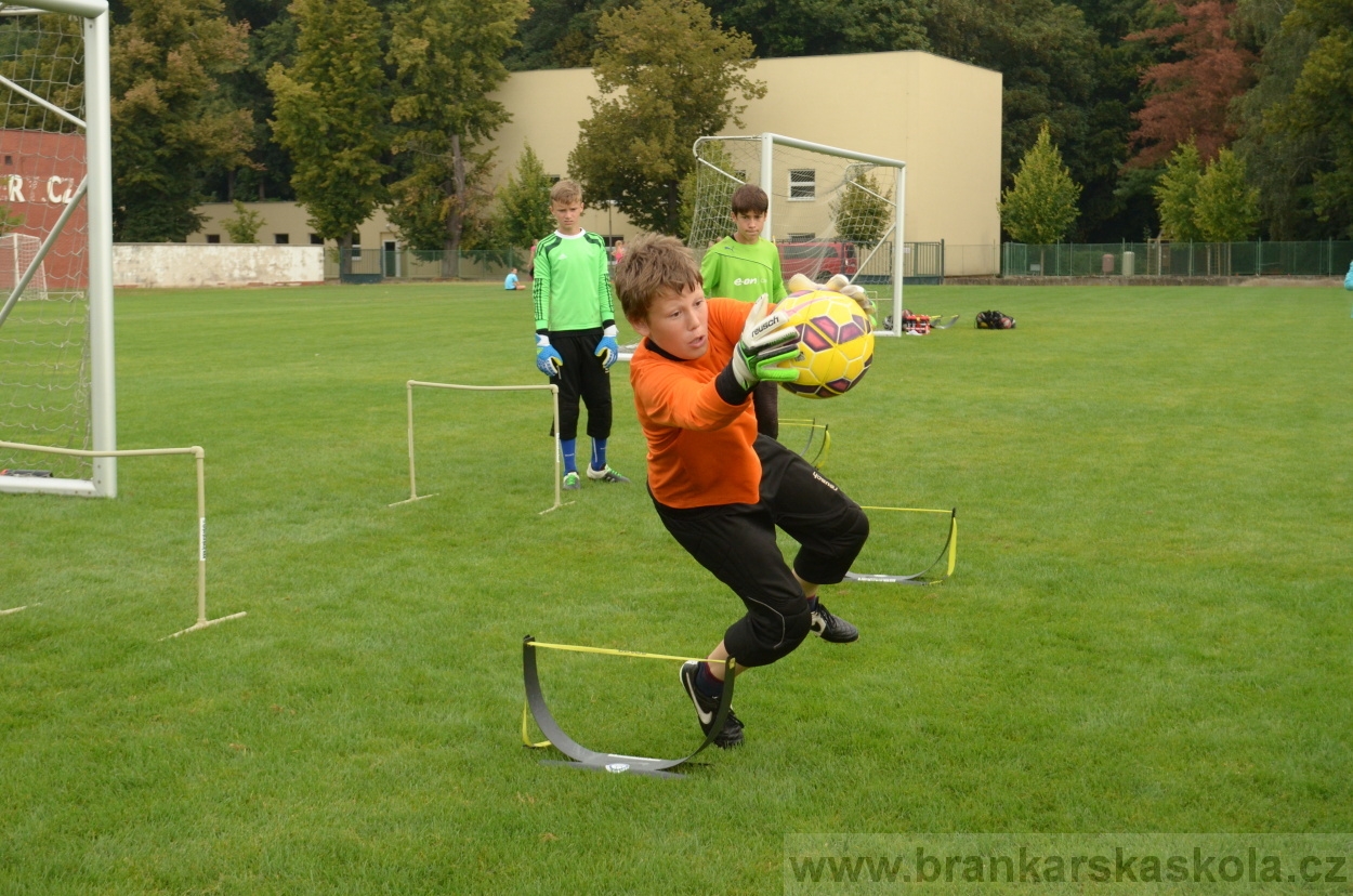 BFŠJCH - Léto 2016 - 29.8.2016