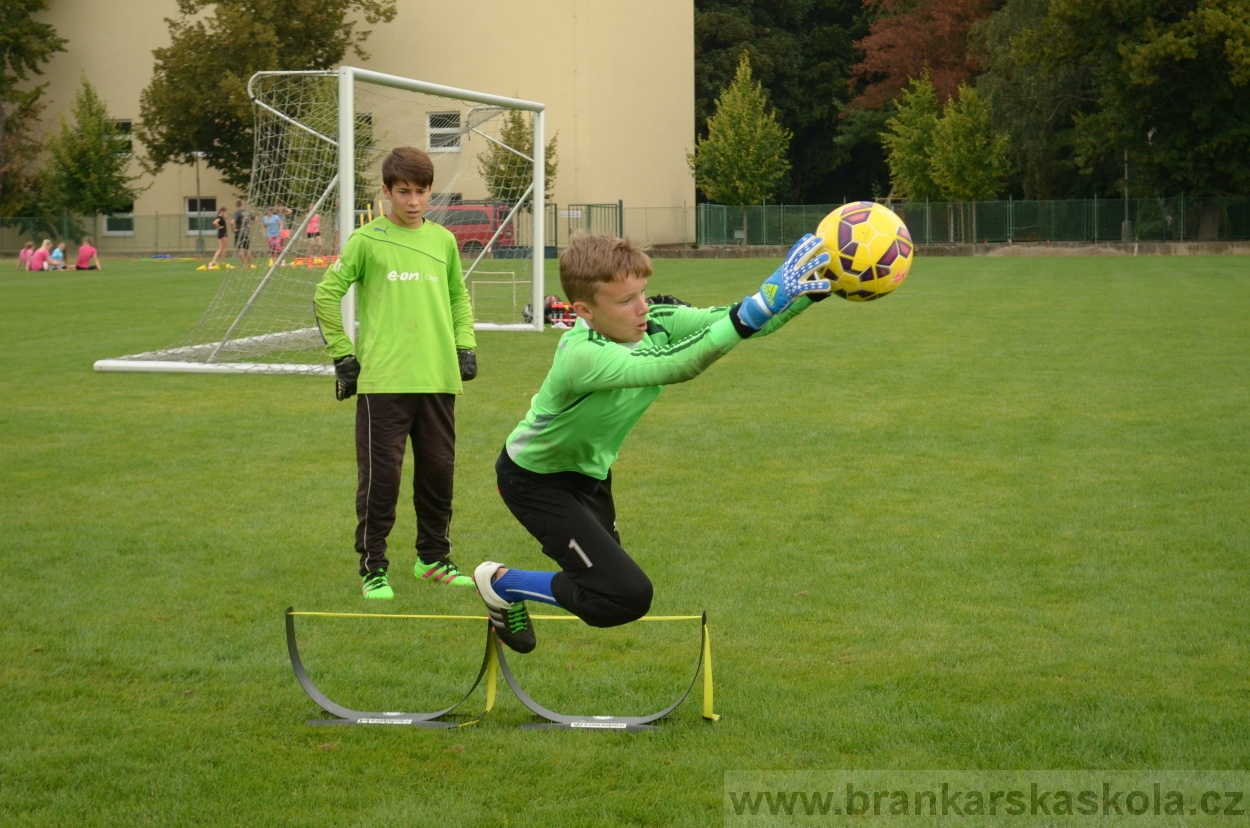 BFŠJCH - Léto 2016 - 29.8.2016