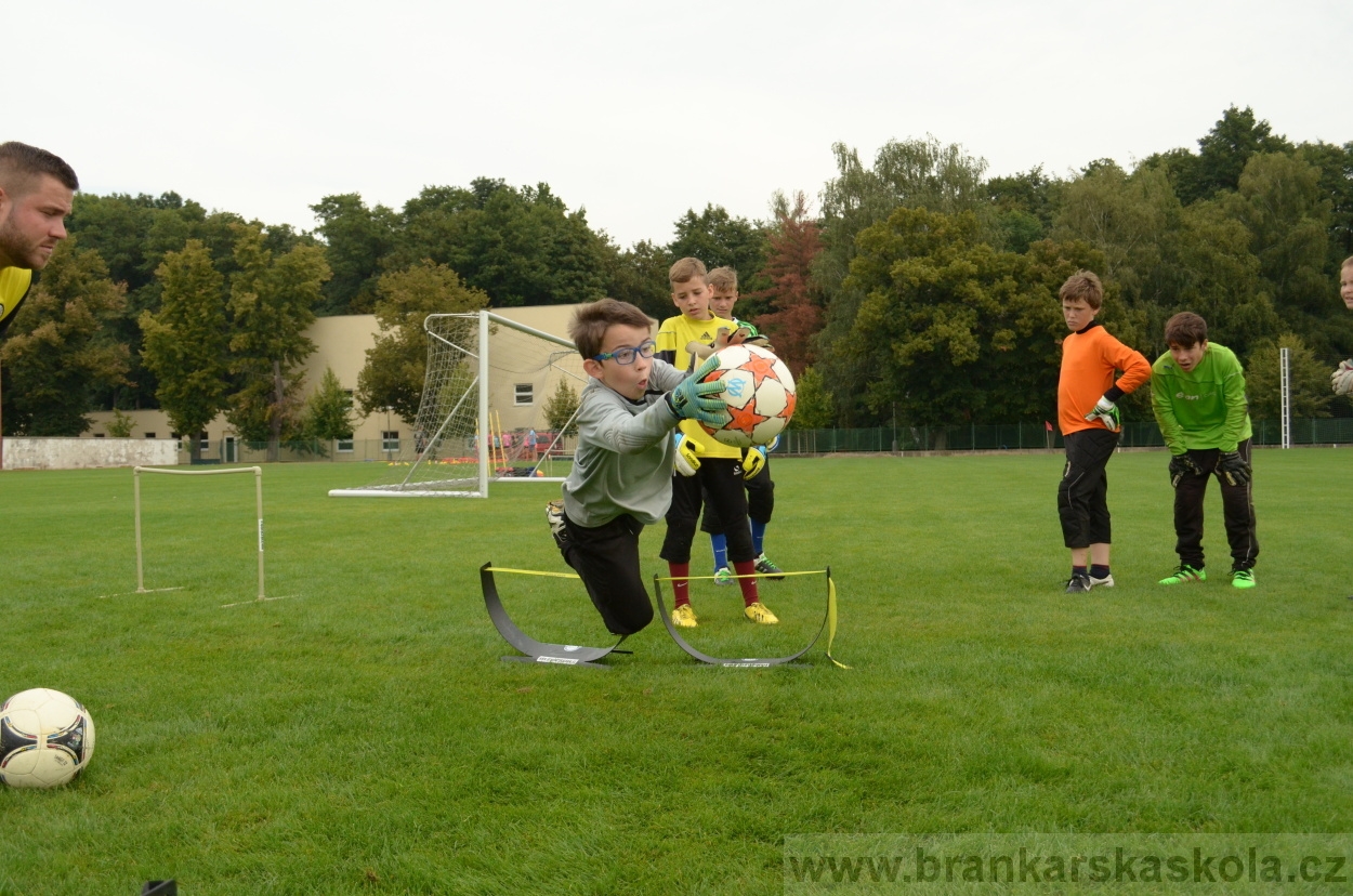 BFŠJCH - Léto 2016 - 29.8.2016