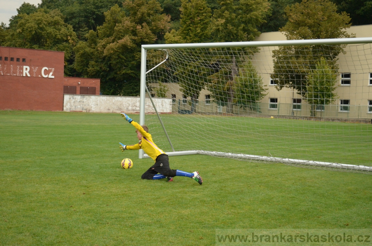 BFŠJCH - Léto 2016 - 29.8.2016