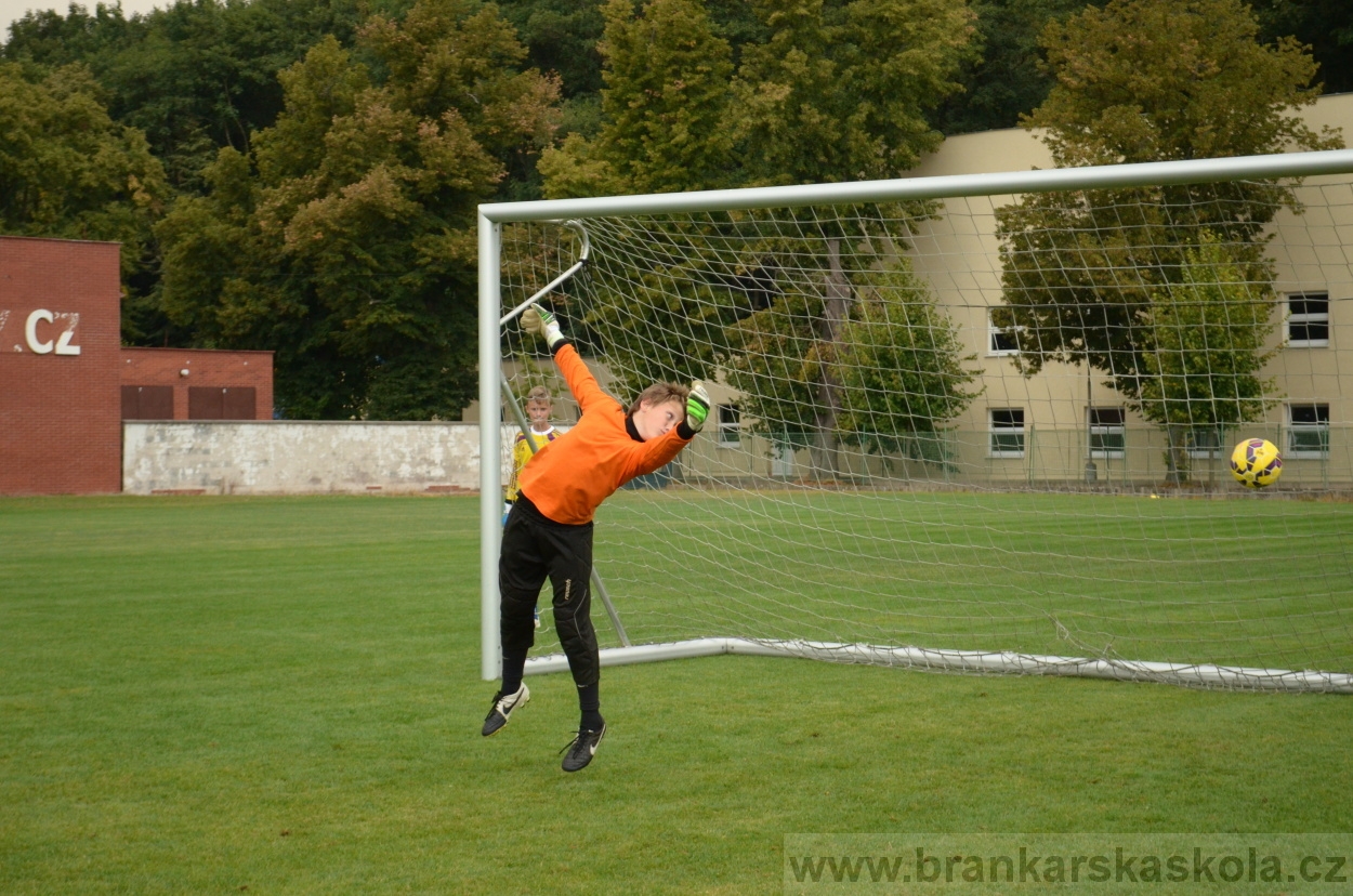 BFŠJCH - Léto 2016 - 29.8.2016