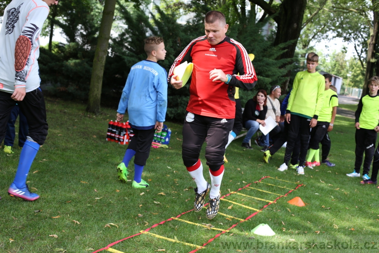 BFŠJCH - Léto 2017 - 27.7.2018