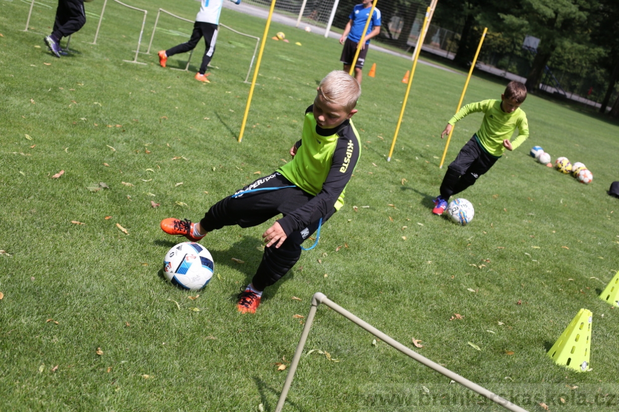 BFŠJCH - Léto 2017 - 27.7.2018