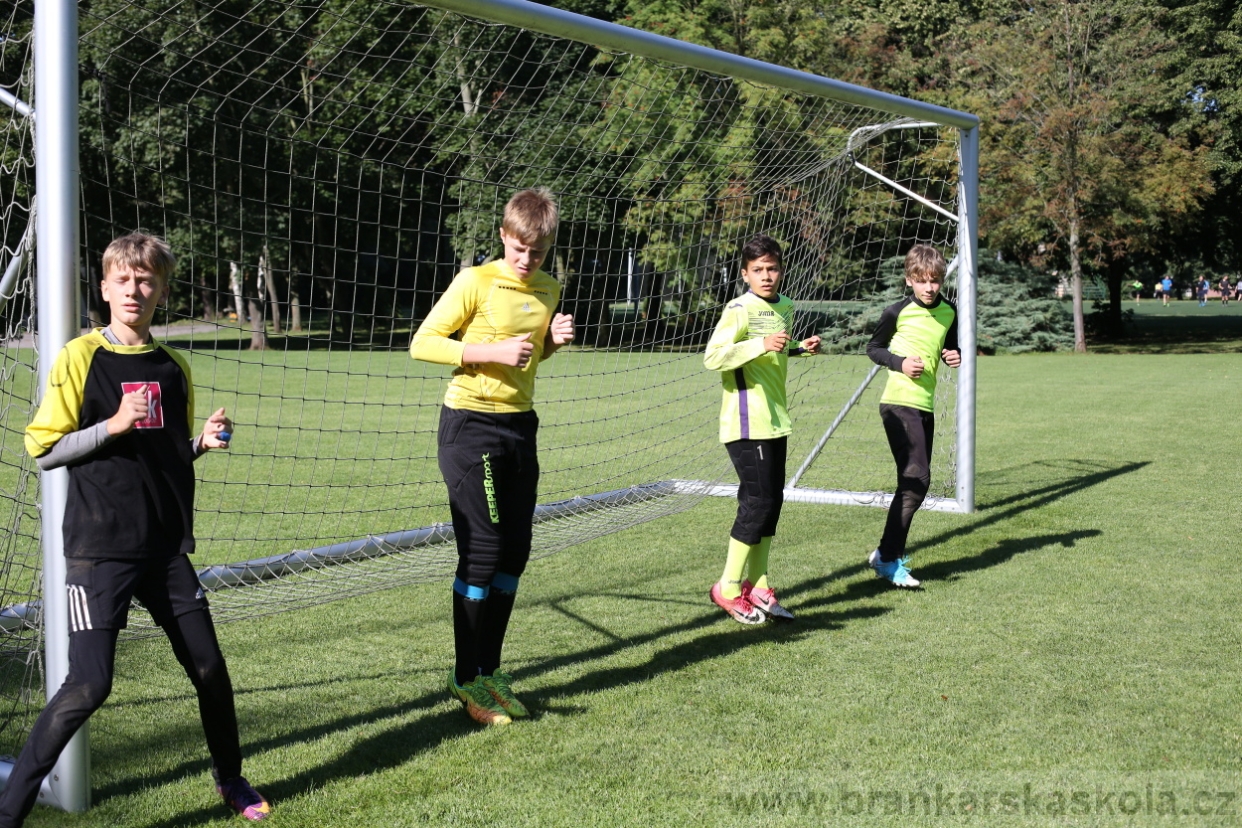 BFŠJCH - Léto 2017 - 29.7.2018