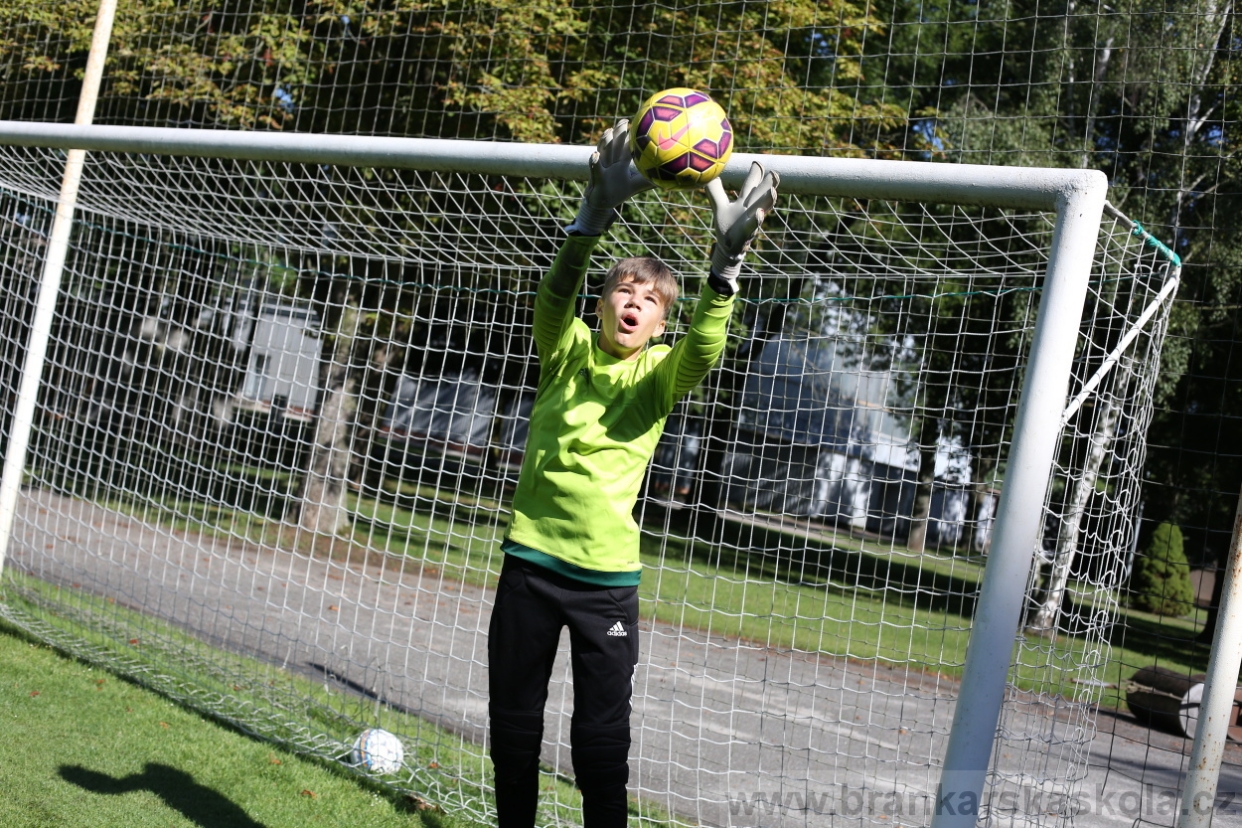 BFŠJCH - Léto 2017 - 29.7.2018