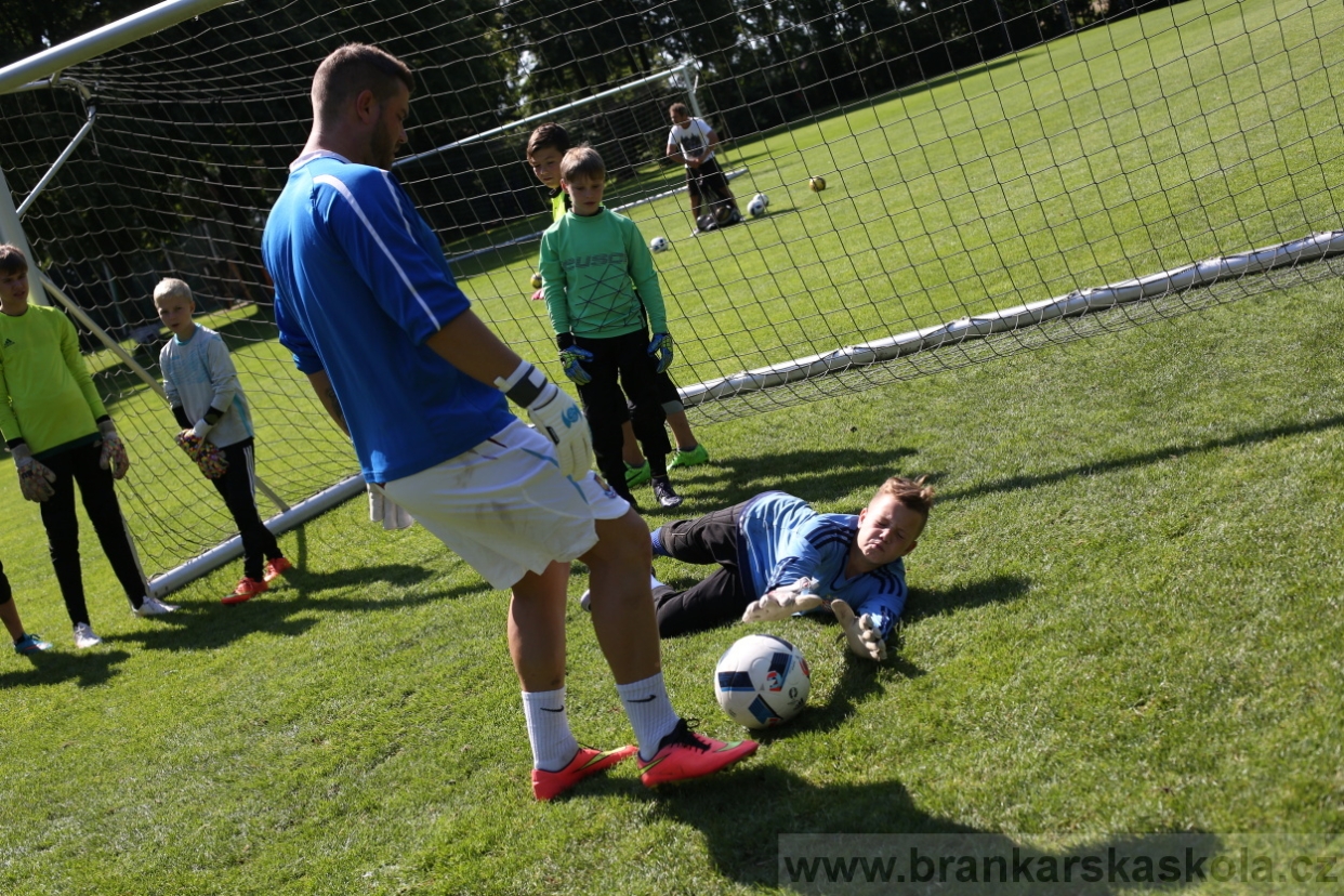 BFŠJCH - Léto 2017 - 29.7.2018