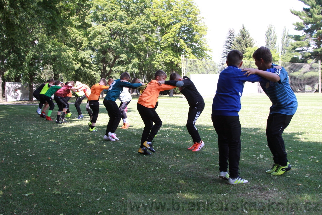 BFŠJCH - Léto 2019 - 2.7.2019