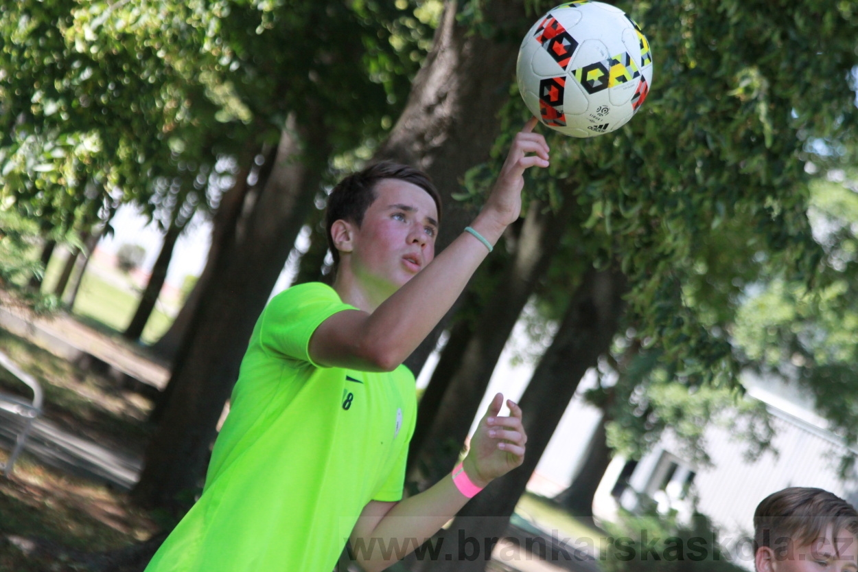 BFŠJCH - Léto 2019 - 2.7.2019