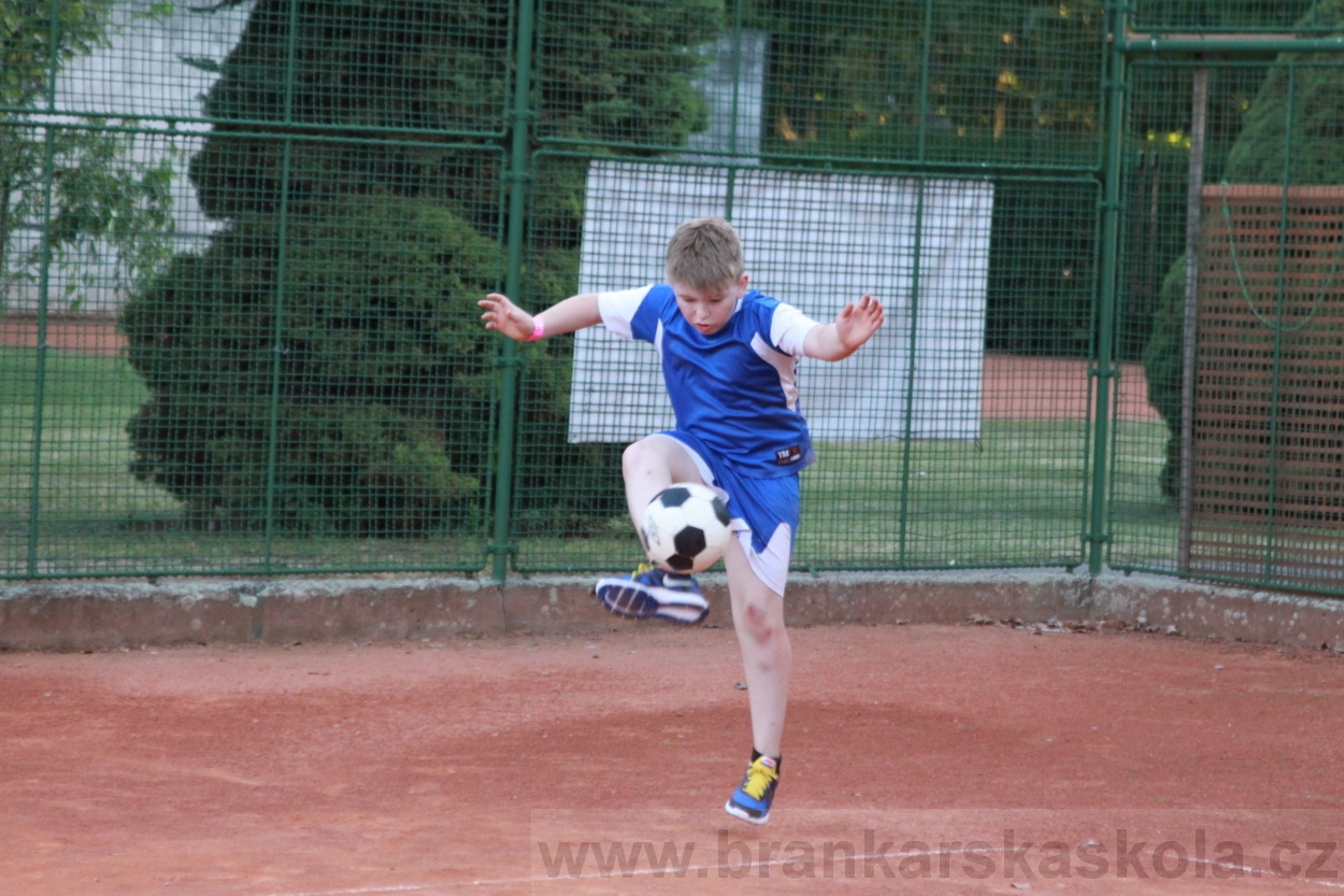 BFŠJCH - Léto 2019 - 2.7.2019