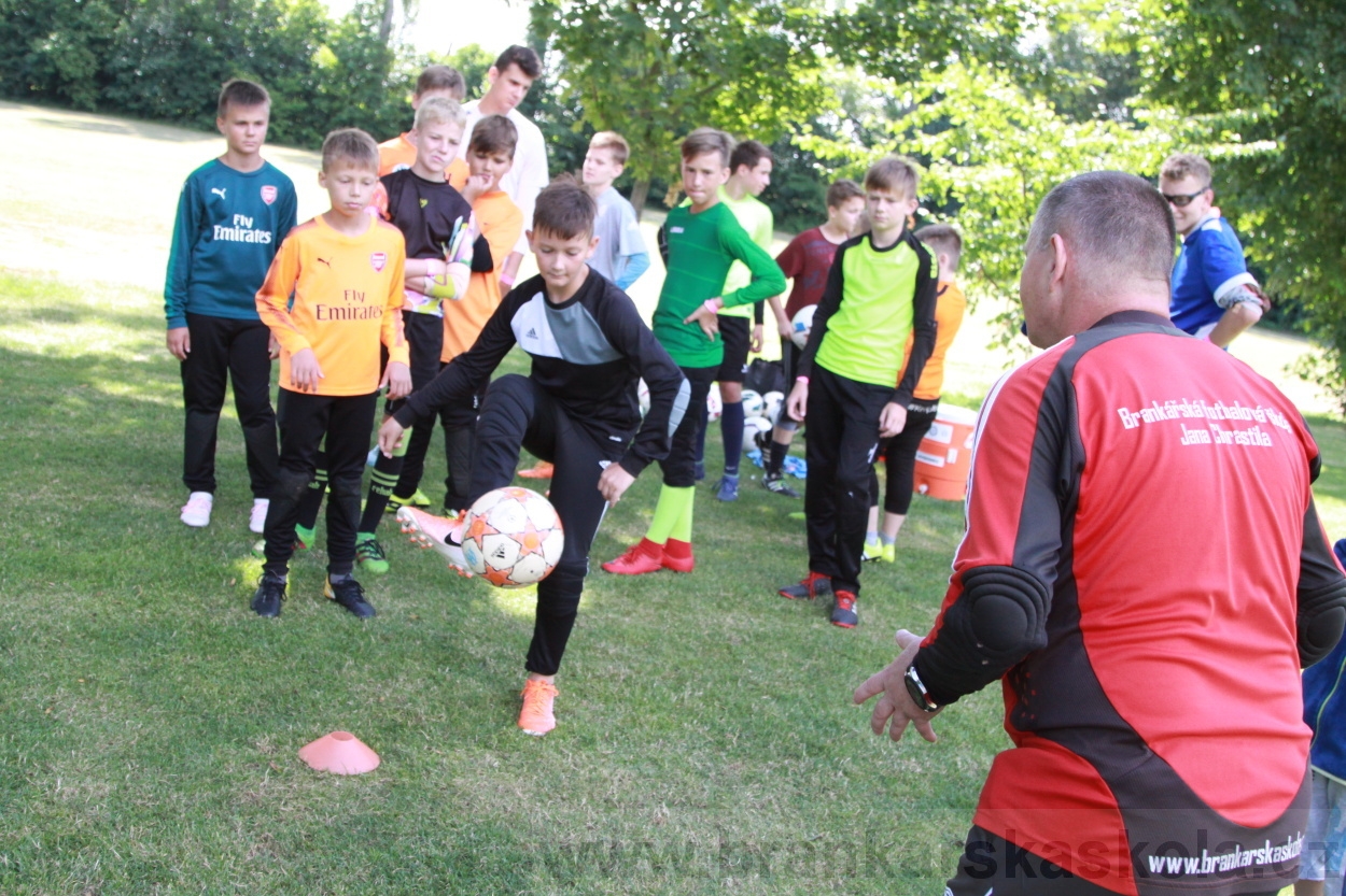 BFŠJCH - Léto 2019 - 3.7.2019