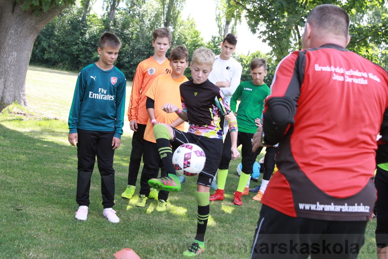 BFŠJCH - Léto 2019 - 3.7.2019