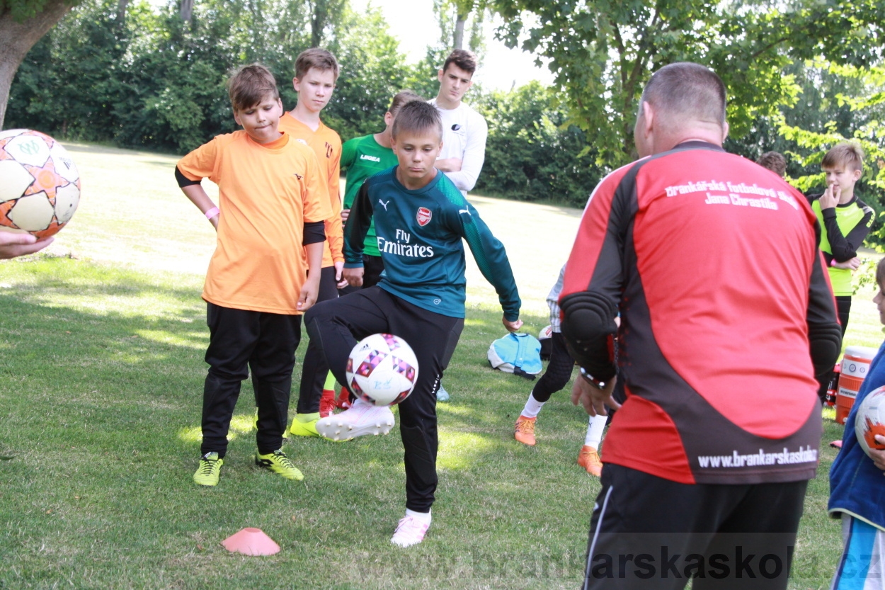 BFŠJCH - Léto 2019 - 3.7.2019