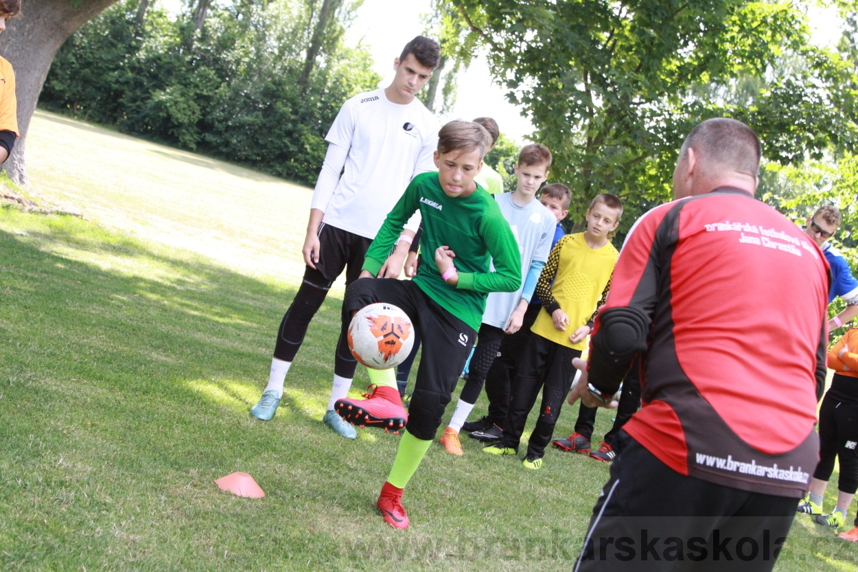 BFŠJCH - Léto 2019 - 3.7.2019