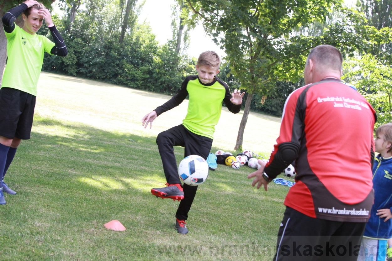 BFŠJCH - Léto 2019 - 3.7.2019