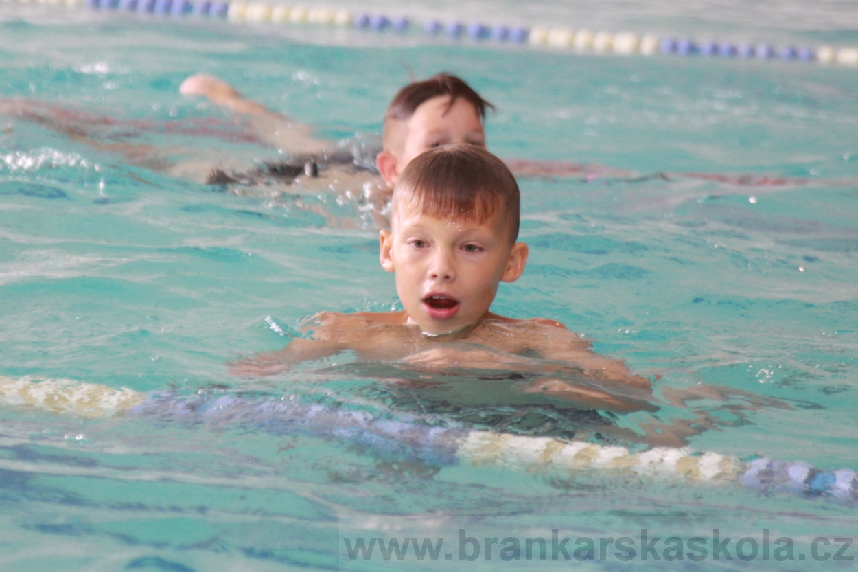 BFŠJCH - Léto 2019 - 3.7.2019