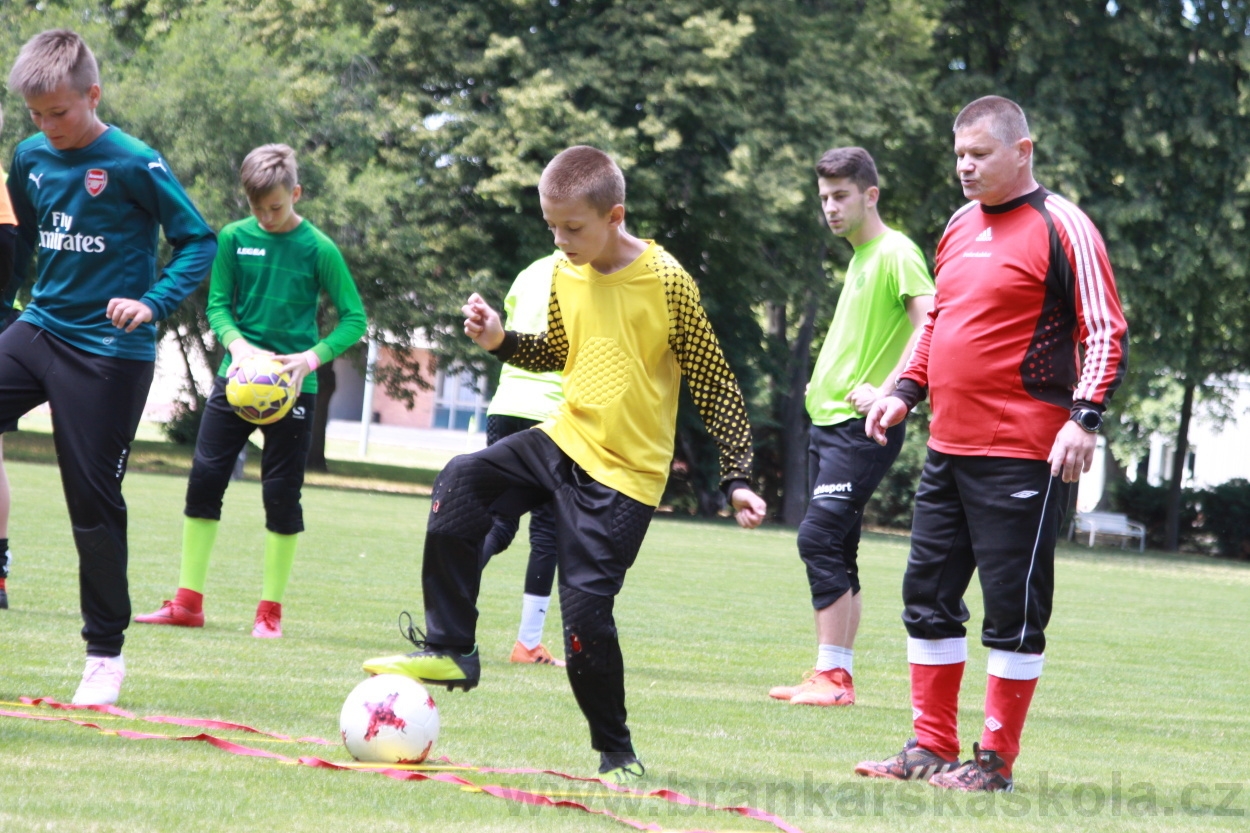 BFŠJCH - Léto 2019 - 3.7.2019