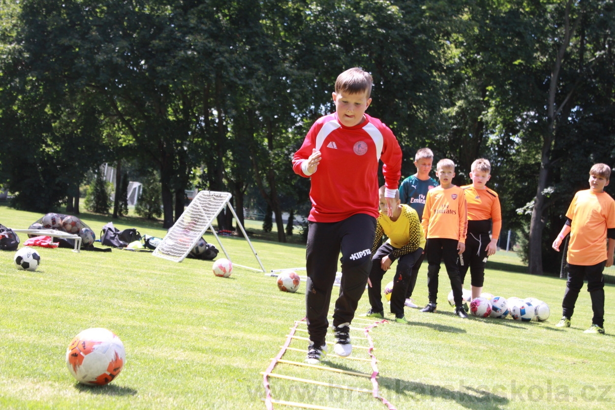 BFŠJCH - Léto 2019 - 3.7.2019