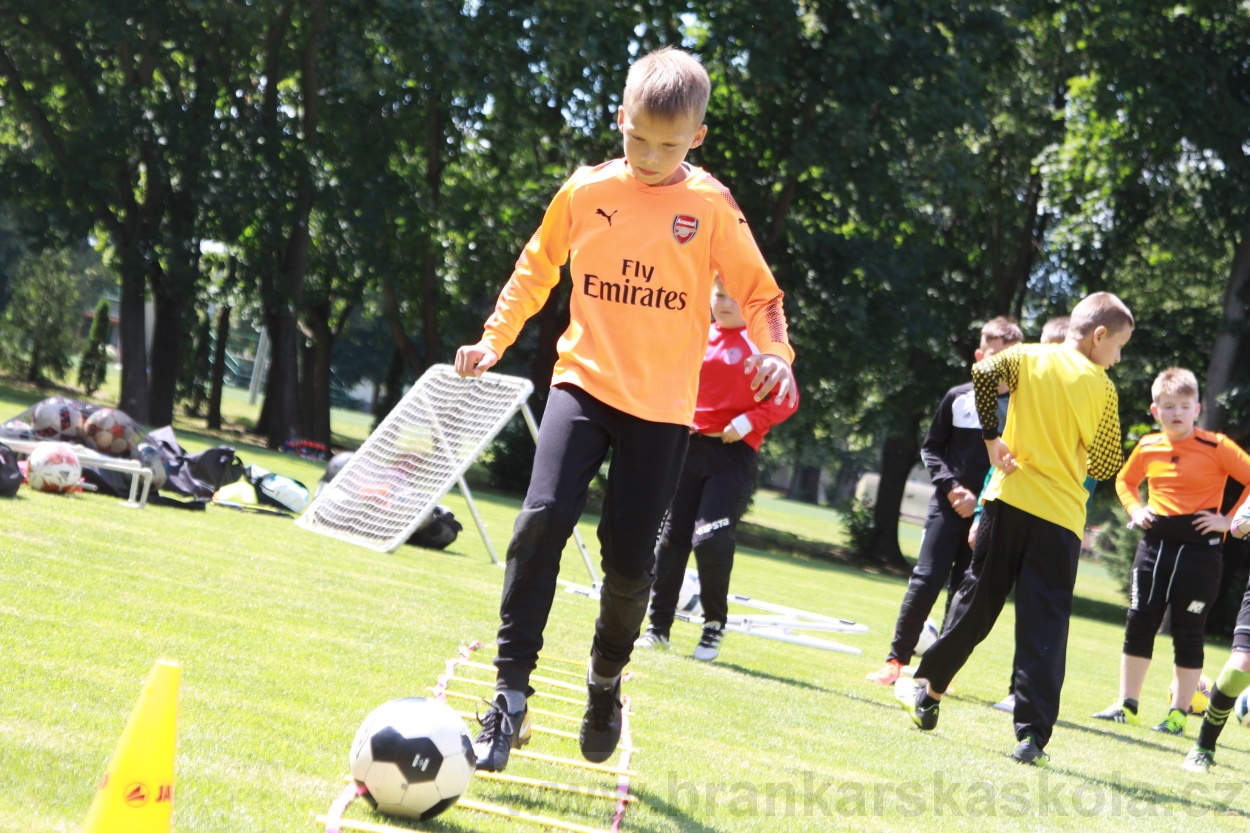 BFŠJCH - Léto 2019 - 3.7.2019