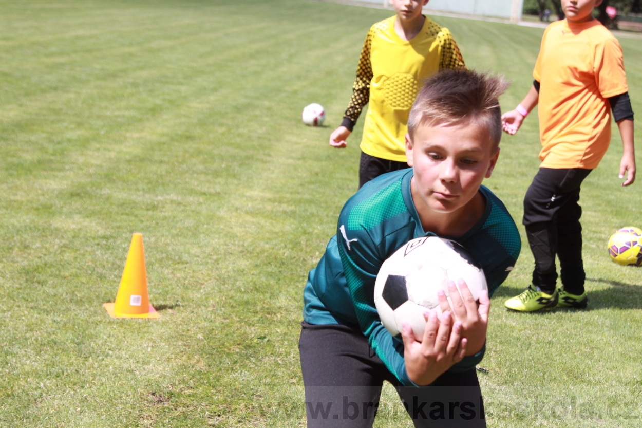 BFŠJCH - Léto 2019 - 3.7.2019