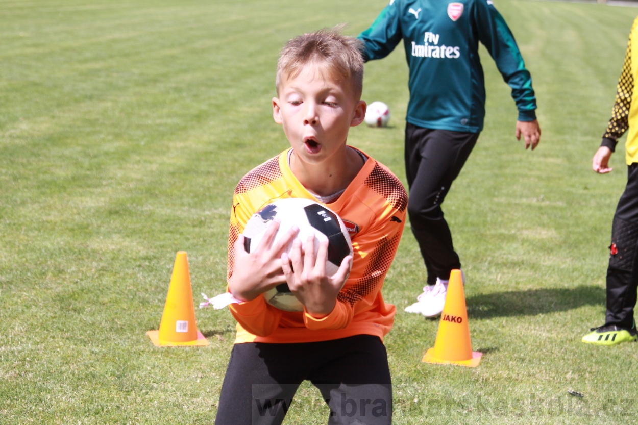 BFŠJCH - Léto 2019 - 3.7.2019