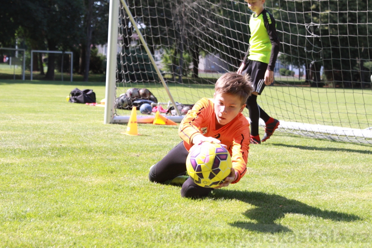 BFŠJCH - Léto 2019 - 3.7.2019