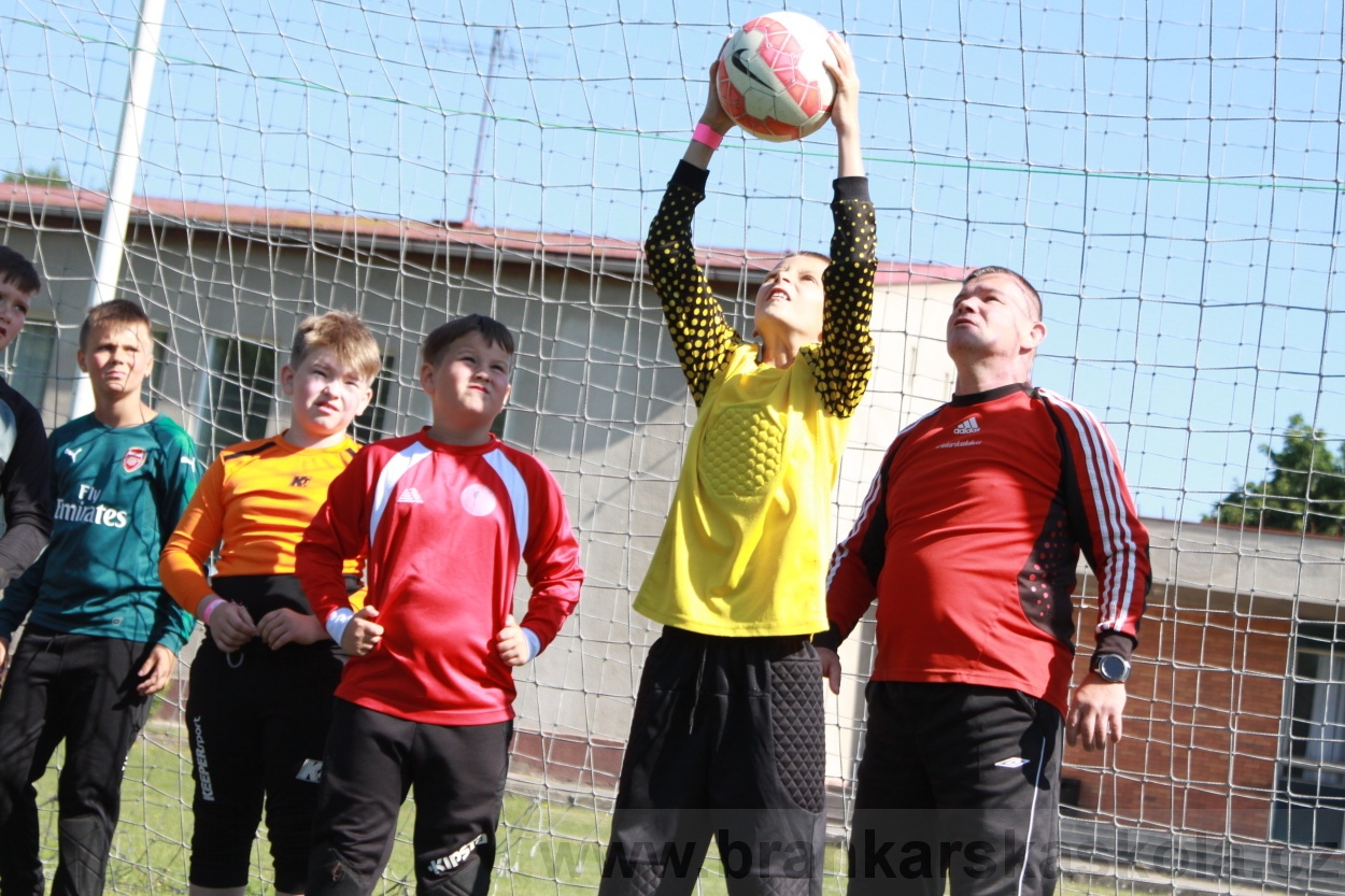 BFŠJCH - Léto 2019 - 4.7.2019