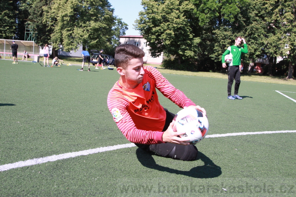 BFŠJCH - Léto 2019 - 4.7.2019