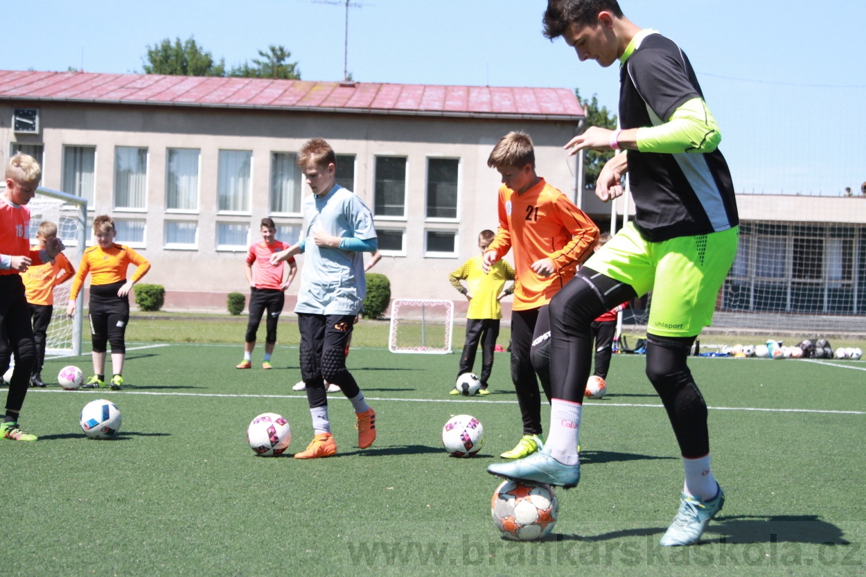 BFŠJCH - Léto 2019 - 4.7.2019