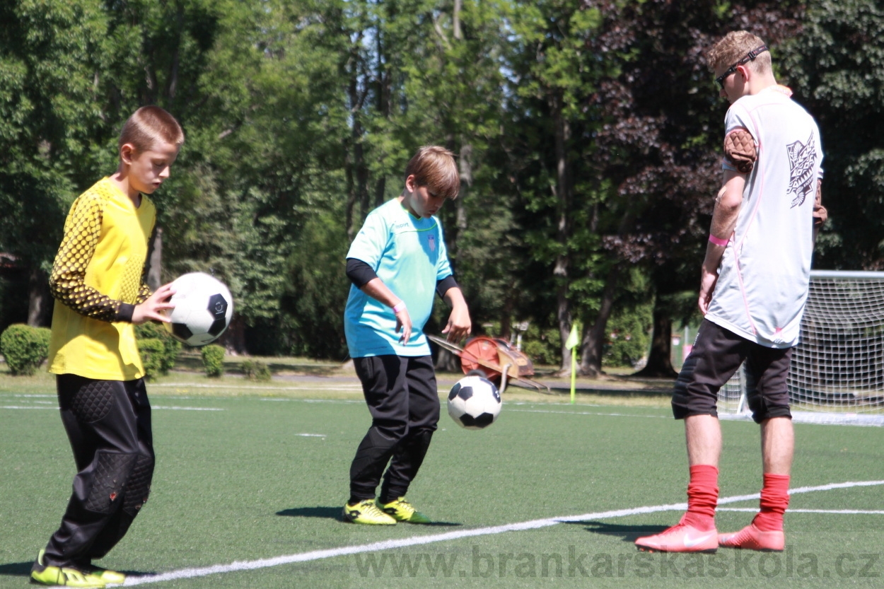 BFŠJCH - Léto 2019 - 4.7.2019