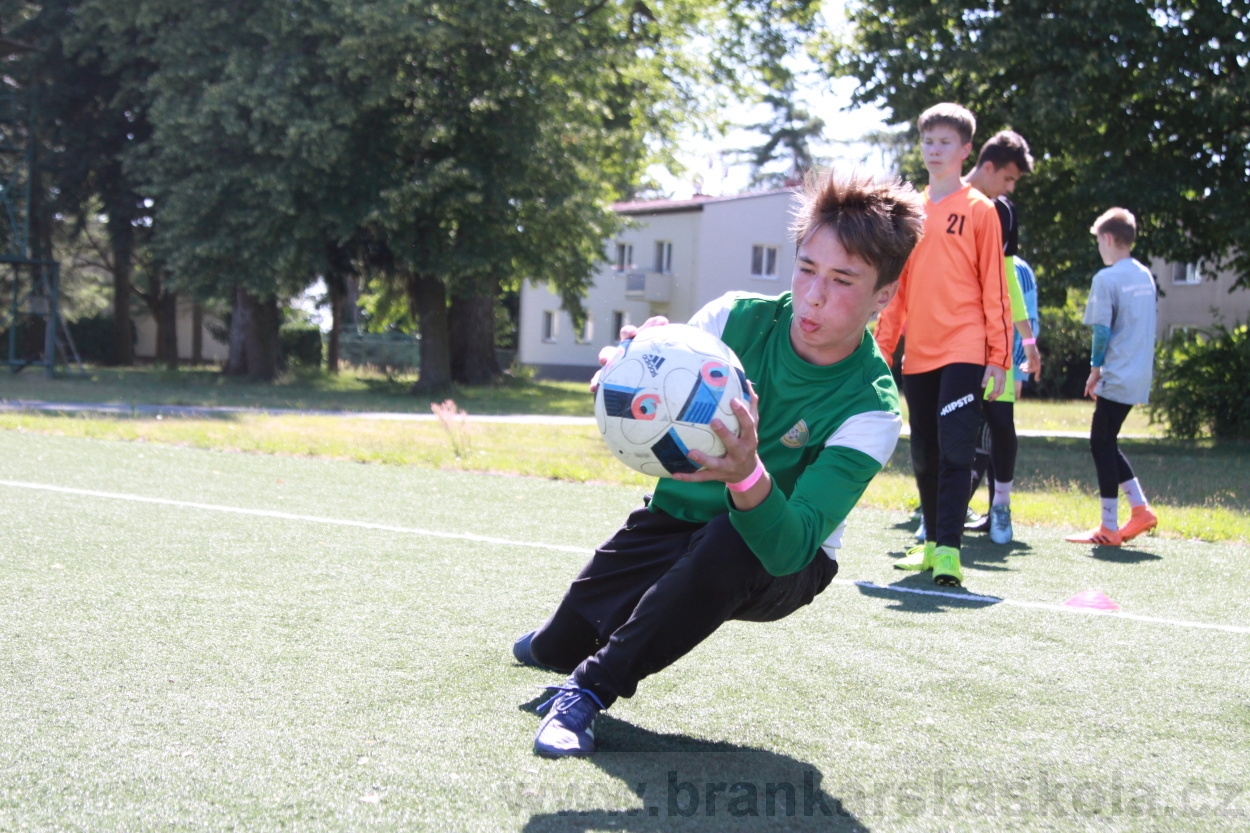 BFŠJCH - Léto 2019 - 4.7.2019