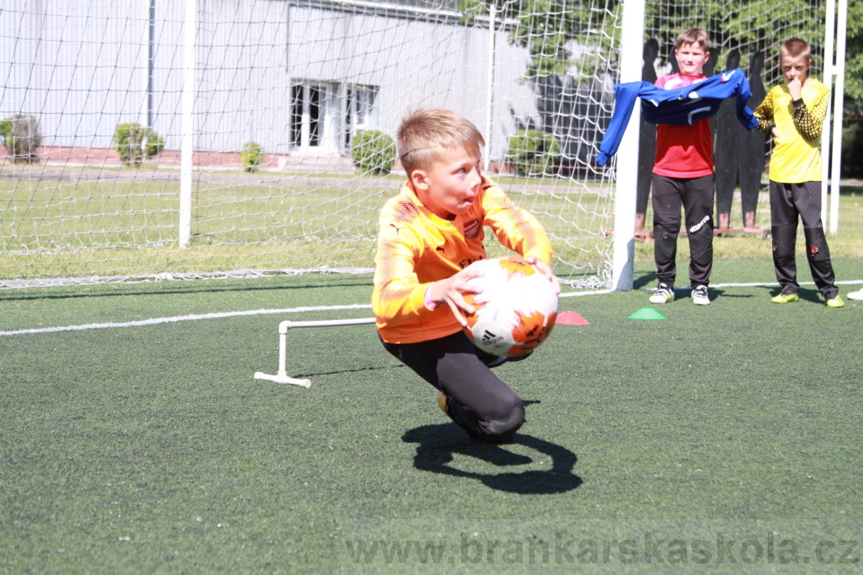 BFŠJCH - Léto 2019 - 4.7.2019