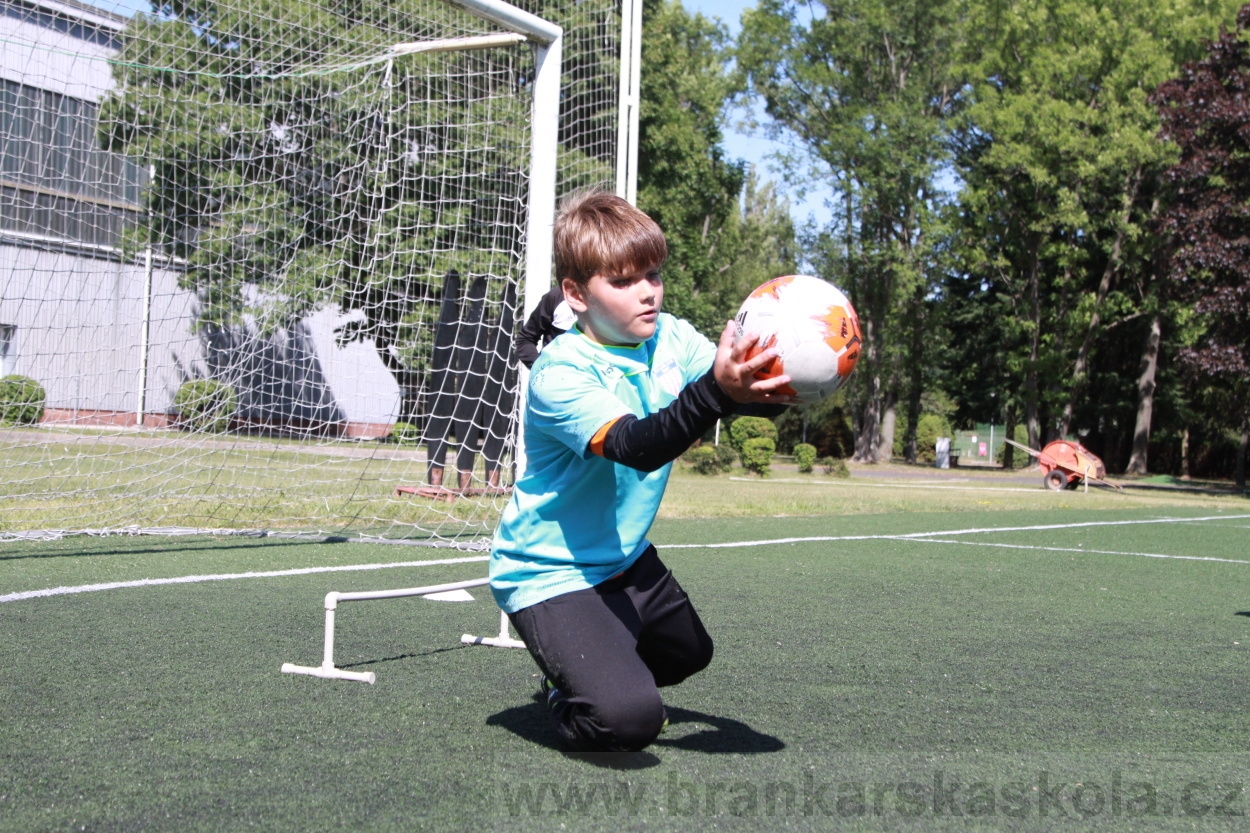 BFŠJCH - Léto 2019 - 4.7.2019