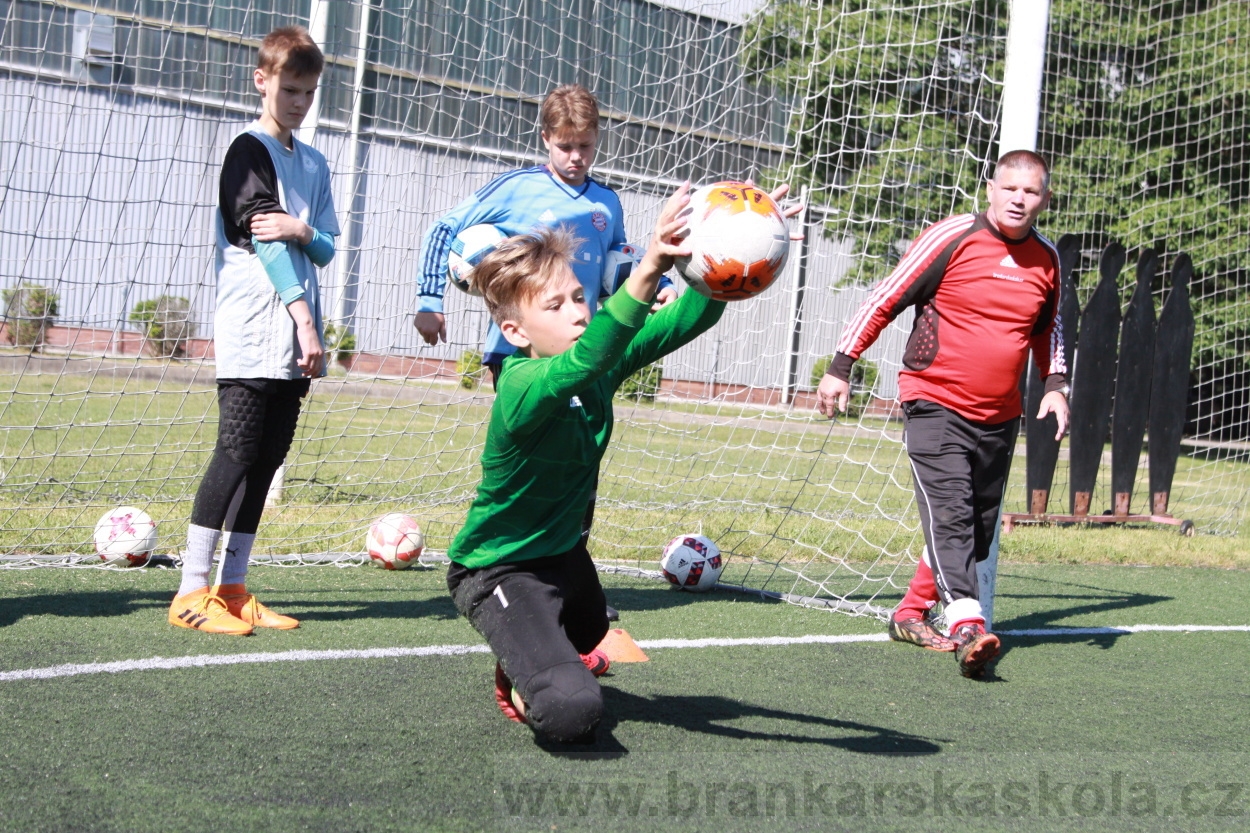 BFŠJCH - Léto 2019 - 4.7.2019