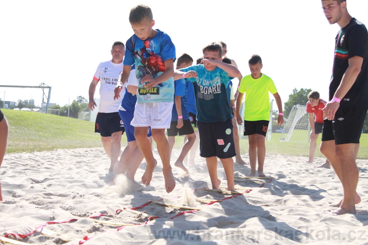 BFŠJCH - Léto 2019 - 4.7.2019