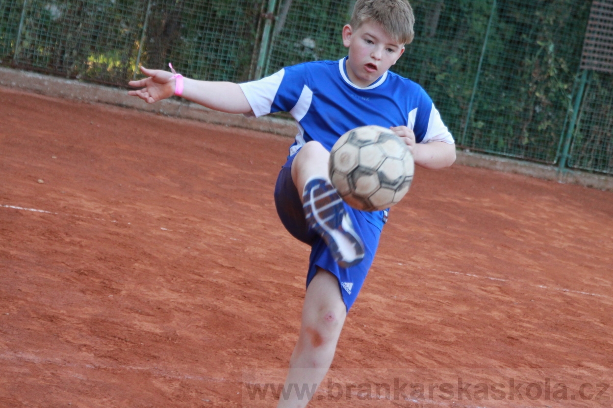 BFŠJCH - Léto 2019 - 4.7.2019