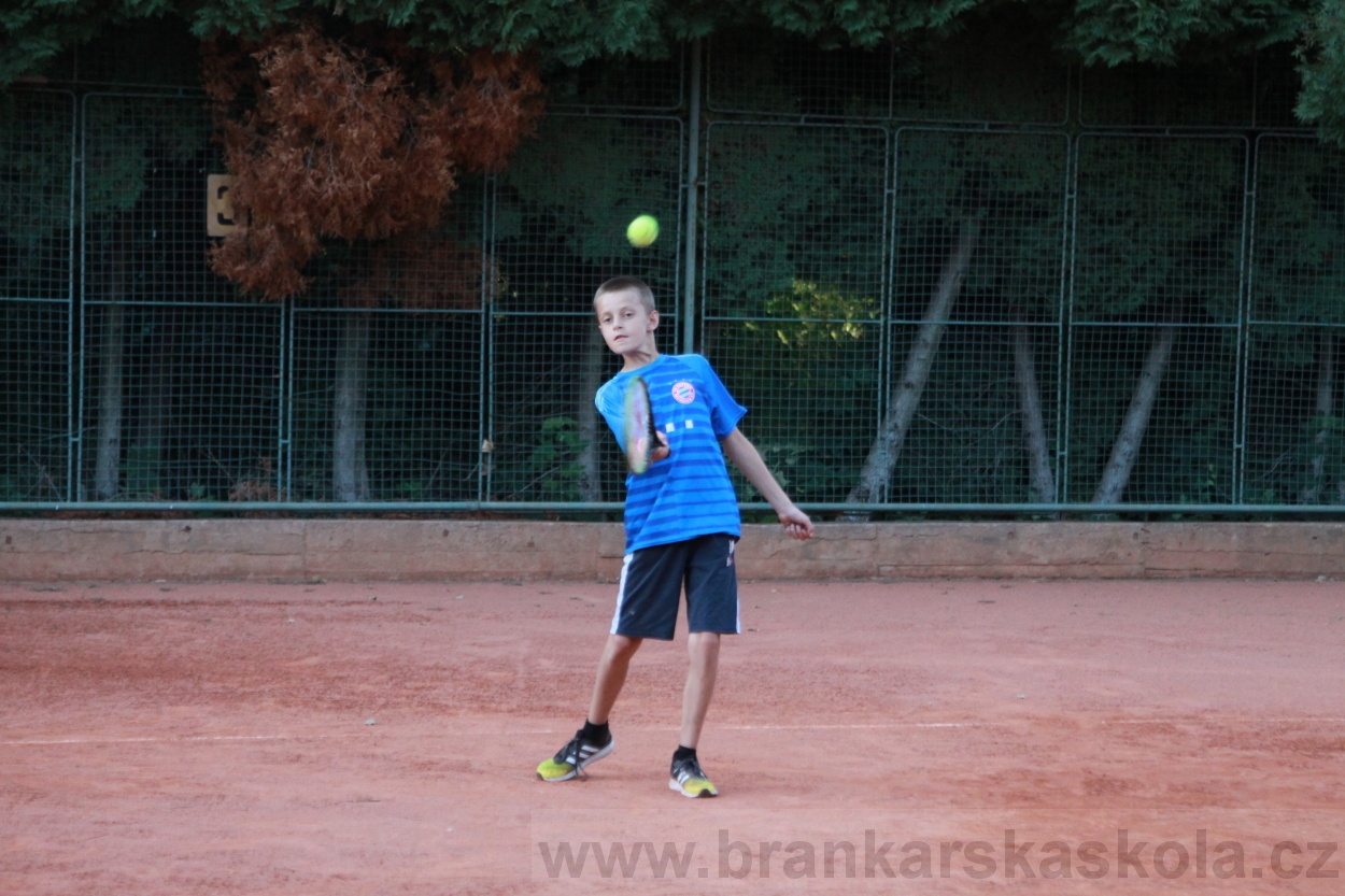 BFŠJCH - Léto 2019 - 4.7.2019