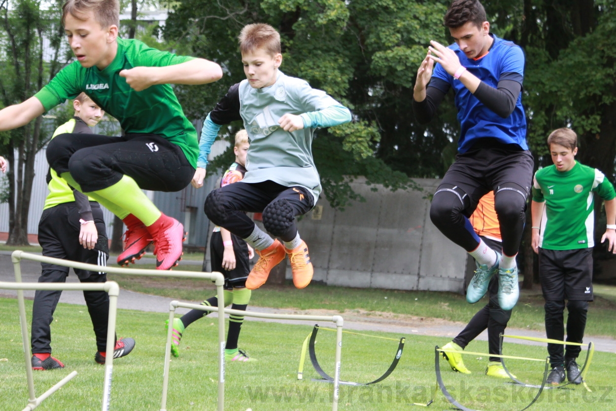 BFŠJCH - Léto 2019 - 5.7.2019