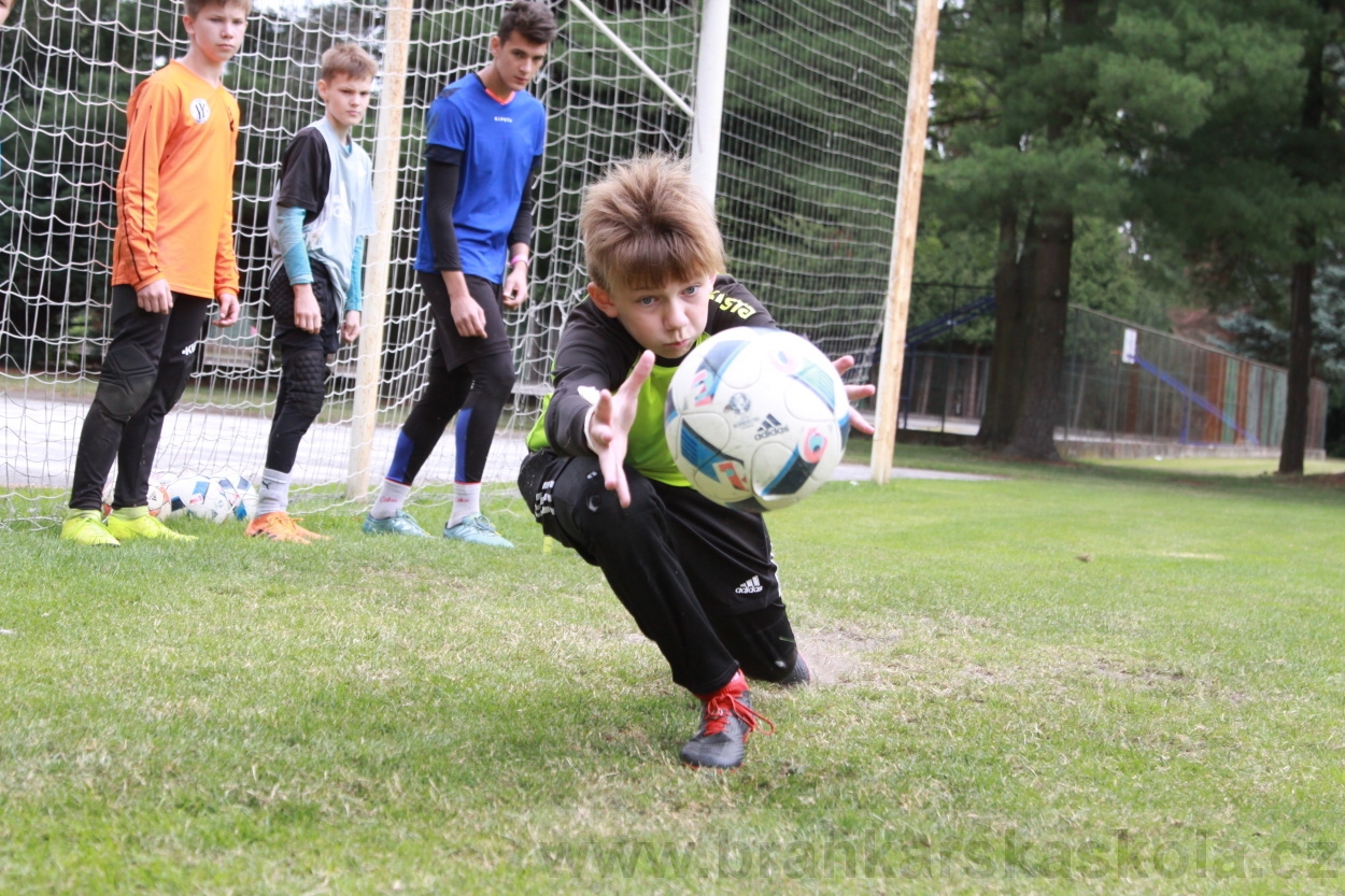 BFŠJCH - Léto 2019 - 5.7.2019