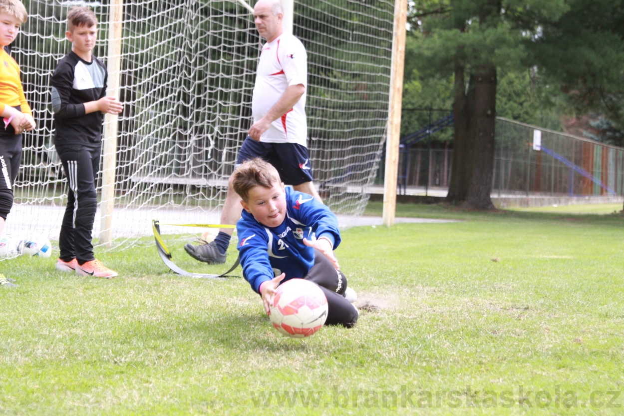 BFŠJCH - Léto 2019 - 5.7.2019