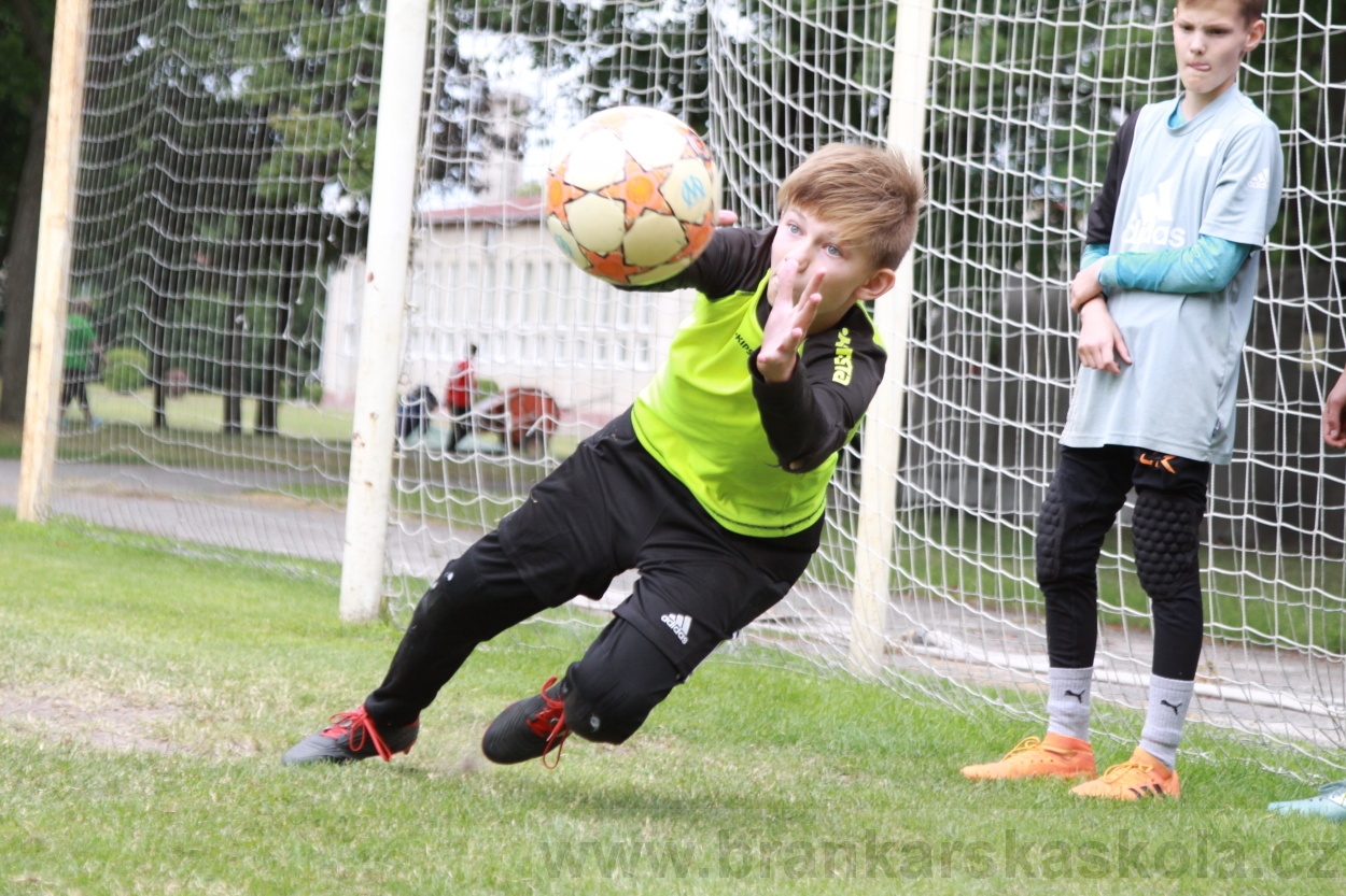 BFŠJCH - Léto 2019 - 5.7.2019