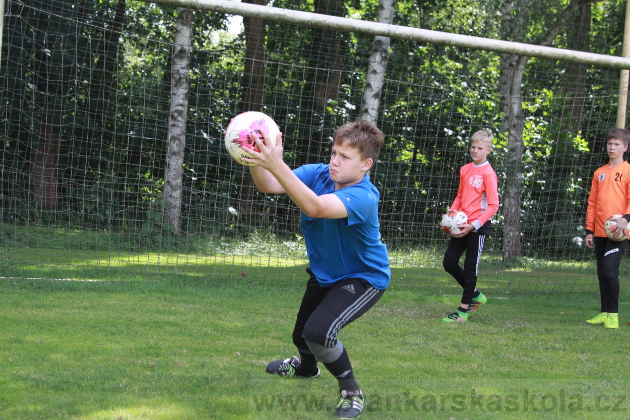 BFŠJCH - Léto 2019 - 5.7.2019