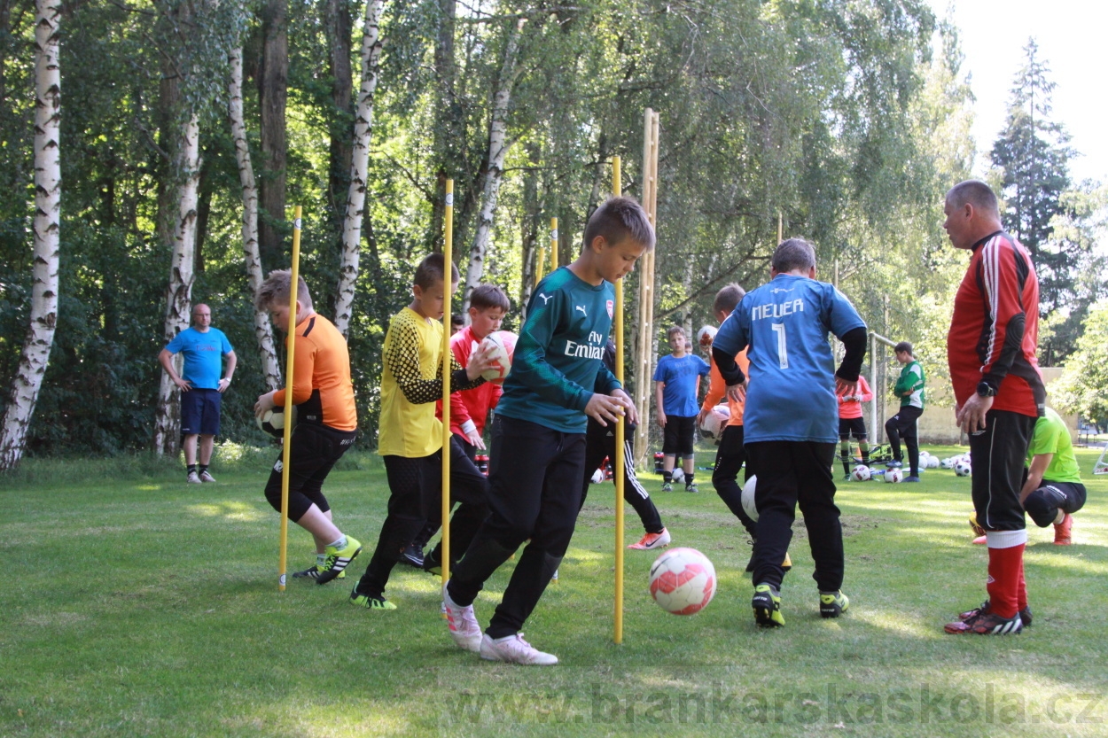 BFŠJCH - Léto 2019 - 6.7.2019