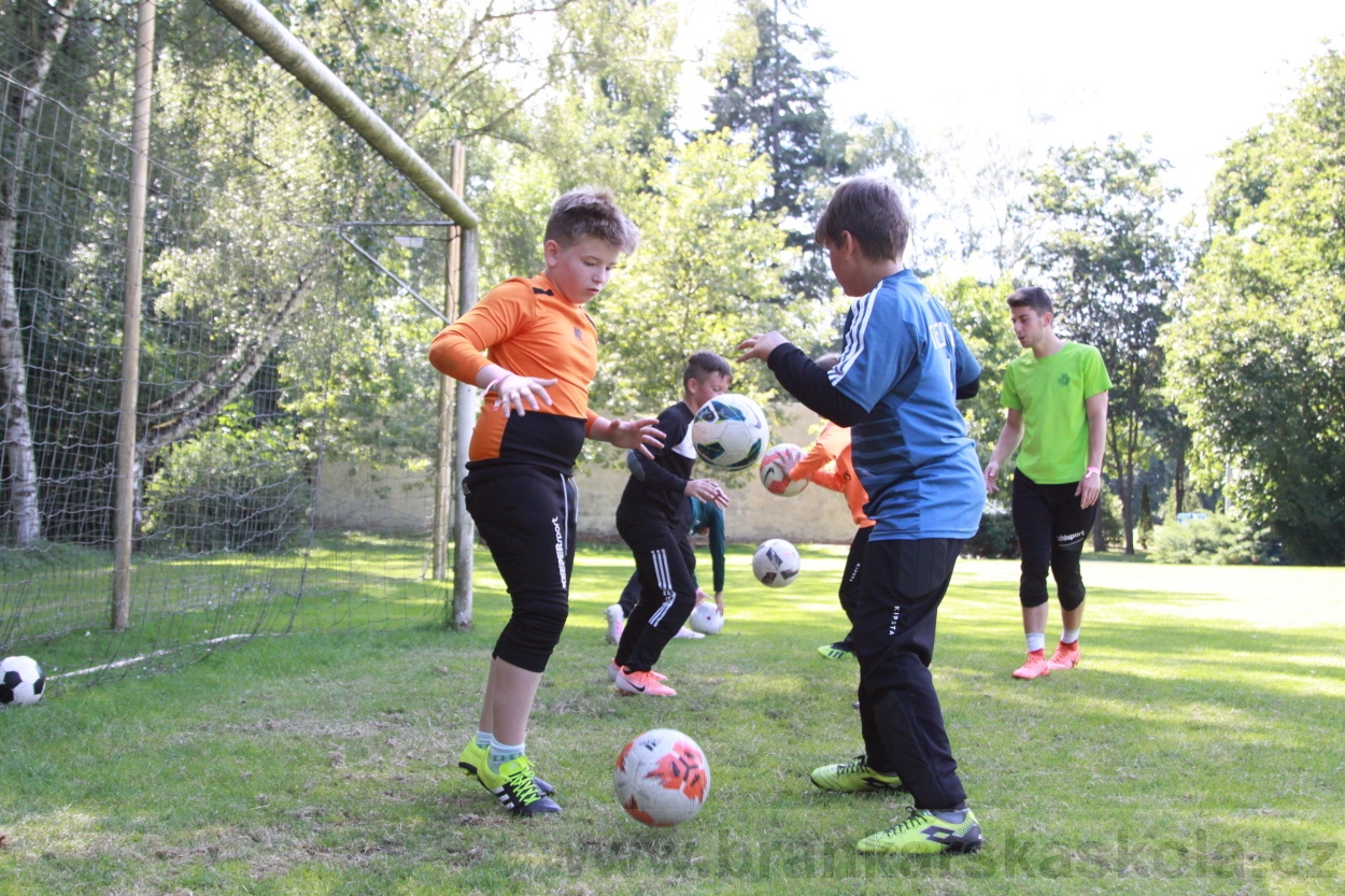 BFŠJCH - Léto 2019 - 6.7.2019