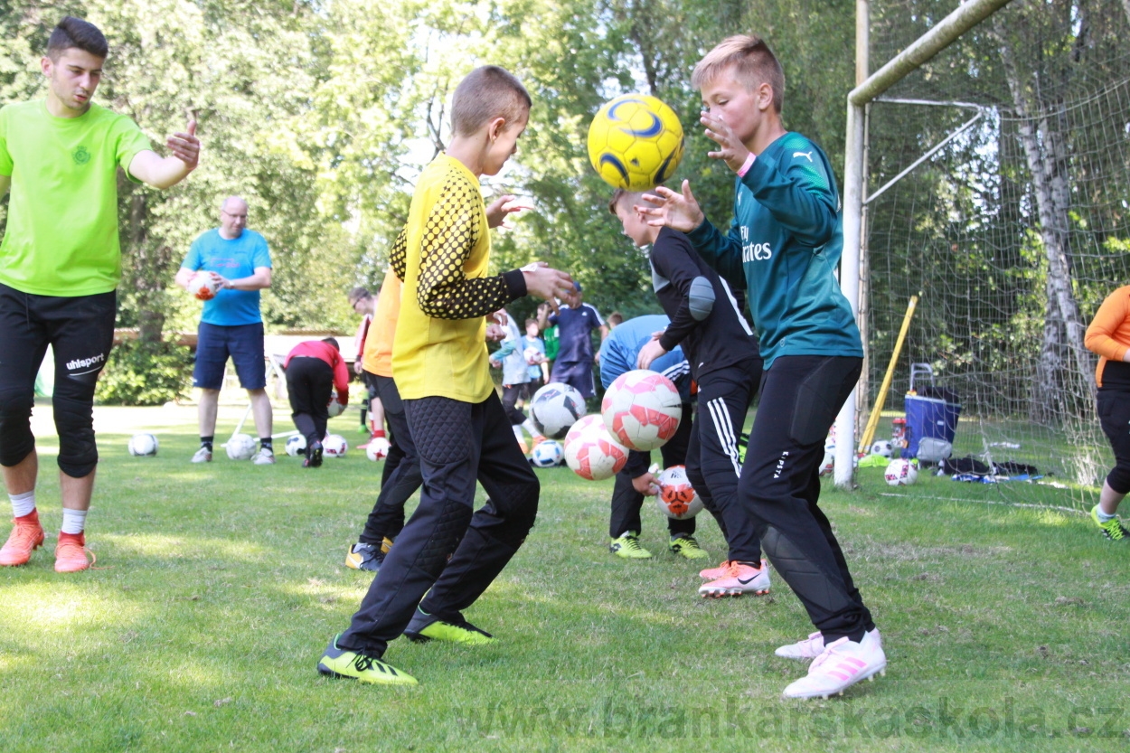 BFŠJCH - Léto 2019 - 6.7.2019