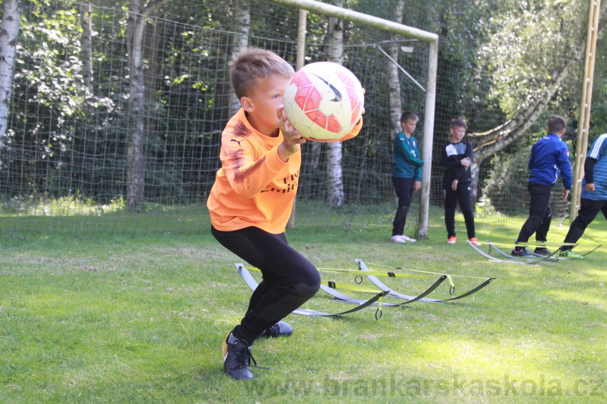 BFŠJCH - Léto 2019 - 6.7.2019