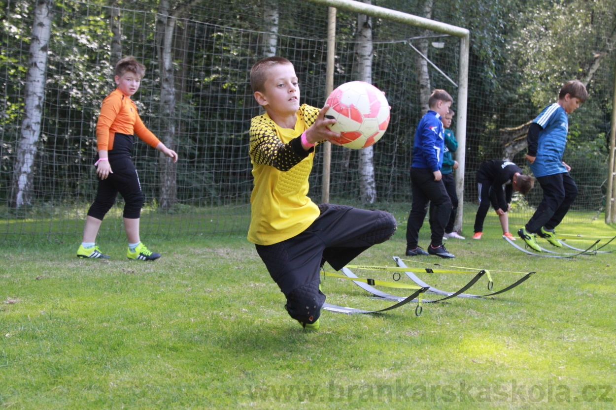 BFŠJCH - Léto 2019 - 6.7.2019