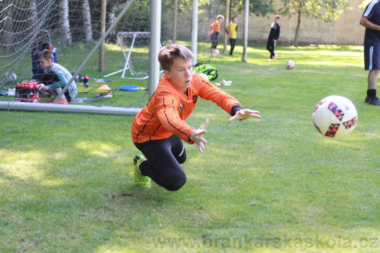 BFŠJCH - Léto 2019 - 6.7.2019