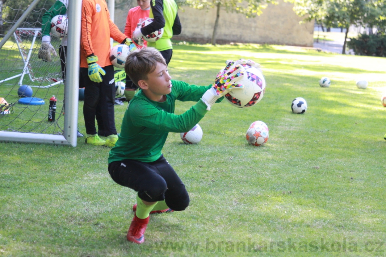 BFŠJCH - Léto 2019 - 6.7.2019