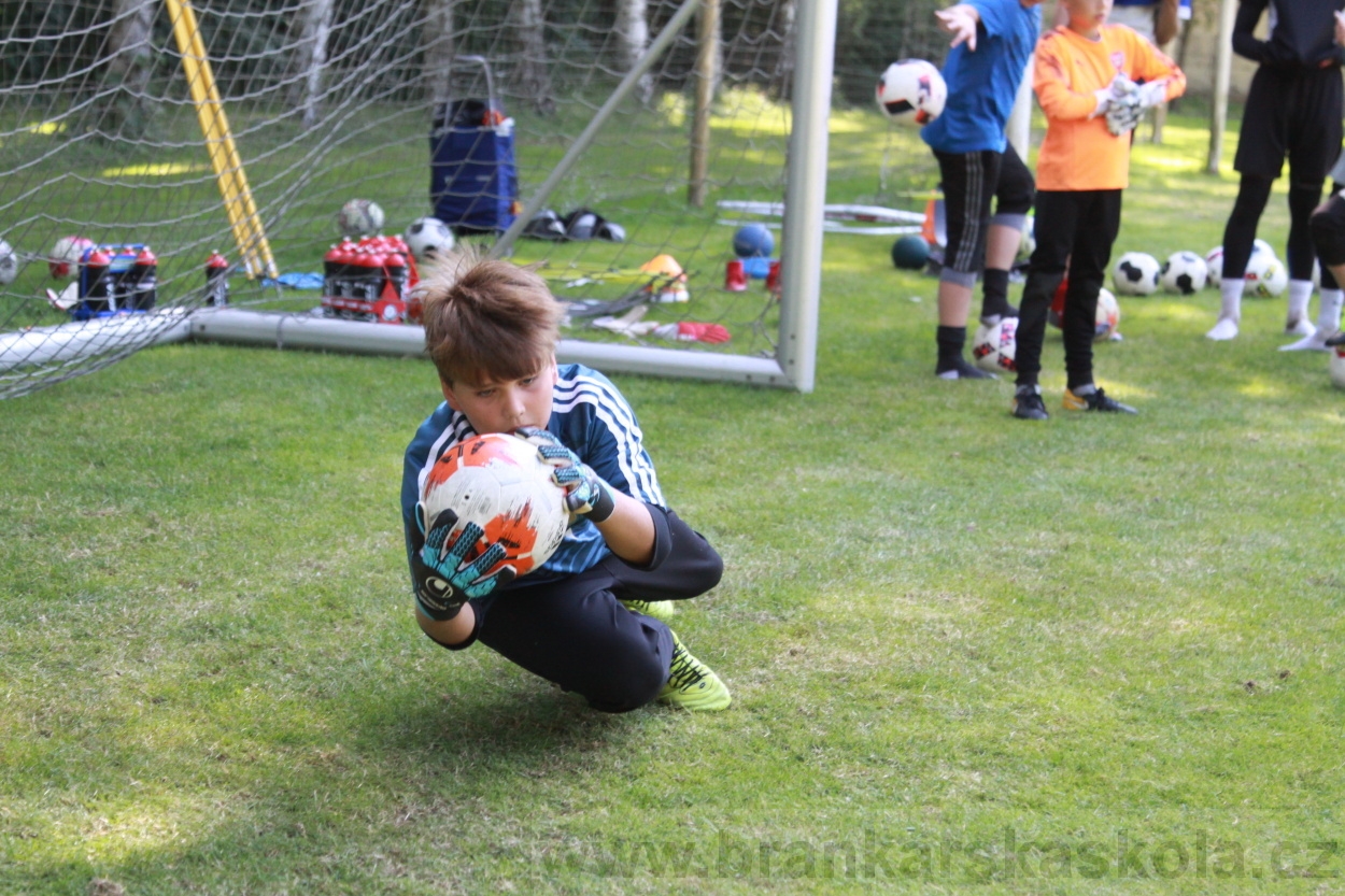 BFŠJCH - Léto 2019 - 6.7.2019